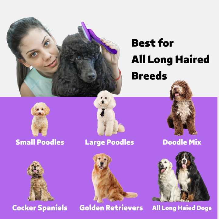 Slicker Brush Dog Doodle We Love Doodles Dog Slicker