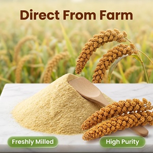 Farine de millet Foxtail en vrac pour marque privée, OEM, qualité alimentaire, <span class=keywords><strong>sans</strong></span> <span class=keywords><strong>gluten</strong></span>, adaptée aux diabétiques, pour pâtes et snacks de boulangerie - Product Image 2