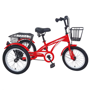 Triciclo Eléctrico 2024 Nuevo de 7 Velocidades con Llantas Anchas, Bicicleta Eléctrica de Carga de 3 Ruedas con Neumáticos para Nieve - Product Image 4