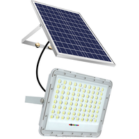 Projecteur LED solaire extérieur étanche IP65, réflecteur solaire pour jardin, éclairage solaire IP65