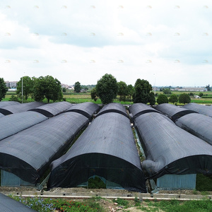 الزراعة تزايد الضوء سقيفة التعتيم الدفيئة الزراعية فيلم أبيض أسود فترة واحدة الفطر الدفيئة - Product Image 5
