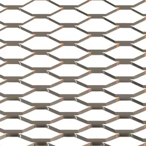 Vendite calde Ripple Micro Mesh in metallo espanso in acciaio inox maglia da passeggio griglia Menards per lavori di costruzione