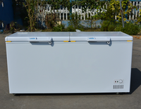 Congélateur coffre horizontal grande capacité WKN 2 portes à froid direct, température unique, N-ST Climate, excellente qualité, en promotion