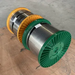Nastro metallico a bobina piatta in acciaio inossidabile per guarnizione industriale a spirale metallica guarnizione