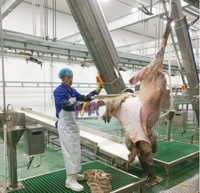 Proyecto llave en mano, equipo de matadero de cordero, máquina despellejadora de ovejas, máquina de matadero de cabras con maquinaria de procesamiento de carne