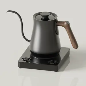 RANBEM Chaleira elétrica de pescoço de ganso para chá e café, aço inoxidável com boca pequena, 220V 110V