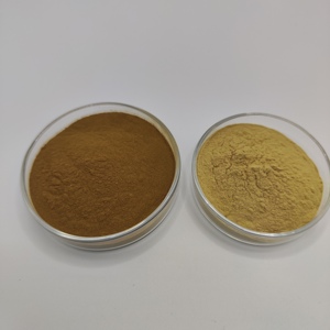 Yüksek kalite <span class=keywords><strong>Astragalus</strong></span> kök özü <span class=keywords><strong>Astragalus</strong></span> ekstresi tozu Astragalosides - Product Image 3