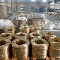 Industrial Anti Corrosion Brass Strip Stable Performance Custom Slit for Switch Hardware Instrument Accessory Fabrication
