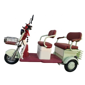 Triciclo Elettrico da Fabbrica 48V 60V a Bassa Velocità, Veicolo Elettrico a 3 Ruote 500W 1200W, Veicoli Ricreativi in Vendita - Product Image 1