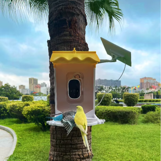 Smart Bird Feeder With Camera Outdoor Smart Bird Feeder with Camera AI Identification  Auto Capture Motion Detection for Bird