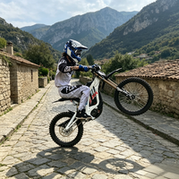 Moto électrique tout-terrain professionnelle Surron Light Bee X 72V à absorption intégrale des chocs, approvisionnement en gros pour les acheteurs professionnels