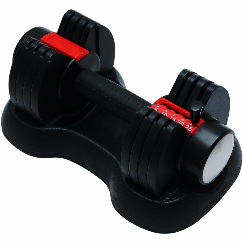 Best Selling Colored Ladies Gym Equipment Dumbbells for Home Fitness