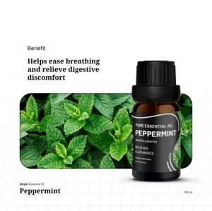 Essence de parfum menthe poivrée fraîche et rafraîchissante en gros avec des qualités amplifiant la concentration pour l'énergie quotidienne - Product Image 3