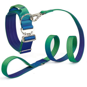 Collares para Perros Grandes de Nailon Resistente de 2 Pulgadas, Color Nuevo, Personalizados, de Alta Calidad, con Asa y Acolchado de Neopreno, <span class=keywords><strong>2026</strong></span> - Product Image 2