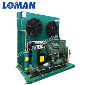 גרמניה אוויר מקורר bitzer מדחס קירור עיבוי יחידה 2DES-3 2DES-3Y 2DES-3Y-40S 2DC-3.2 2DC-3.2Y-40S 3 HP