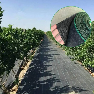 1*100m rouleau d'usine direct agriculture contrôle des mauvaises herbes tissu tissé tapis anti herbe bloc <span class=keywords><strong>couvre</strong></span>-<span class=keywords><strong>sol</strong></span> - Product Image 4