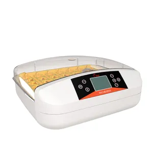 HHD chocadeira mini incubator yz-32S egg incubators prices hot sale in Australia