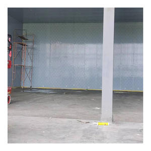 Fabricant de Chambres Froides de Haute Qualité pour la Conservation des Aliments Surgelés, Entrepôt Frigorifique, Bâtiment de la Chaîne <span class=keywords><strong>d</strong></span>'Approvisionnement en Froid pour la Viande et le Poisson - Product Image 3