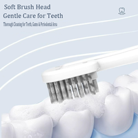 Brosse à dents personnalisée avec manche en plastique naturel, poils souples et dentifrice intégré, livrée avec boîte d'emballage, pour adultes