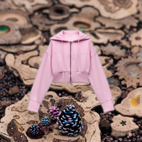 2024 automne à la mode Version coréenne femmes à manches longues Cardigan velours tissu à capuche courte fermeture éclair décontracté tricoté Anti-boulochage