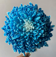 Grosir Bunga Potong Segar Peony Krisan untuk Dekorasi Rumah, Pernikahan, dan Festival dari Yunnan