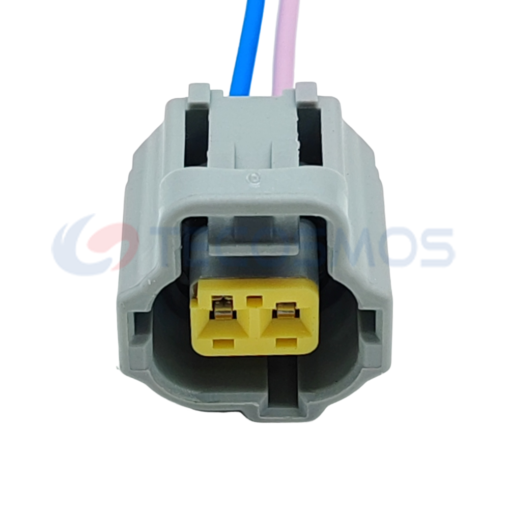 Auto Parts Waterproof Automotive Connector 2Pin Female for Car Fuel Pump Plug DJ70217Y-1.8