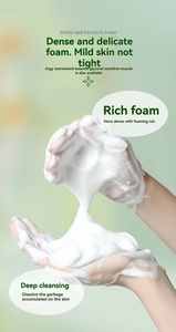 Nuevo Jabón Artesanal de Aceite Esencial de Artemisia, Jabón de Baño <span class=keywords><strong>Limpiador</strong></span> de <span class=keywords><strong>Piel</strong></span> con Espuma Abundante, Venta al por Mayor de Fábrica - Product Image 5