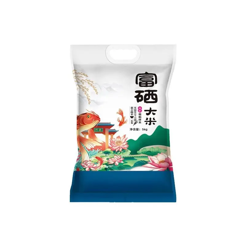 Custom Printed Food Grade Big Volume Vac Pack Rice Packaging Bag With Plastic Handle