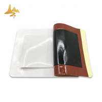 Produit en gros Tissu Spunlace Patch transdermique à base de plantes Corps Sciatique Nerf Soulagement de la douleur Plâtre