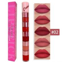 Set de 5 Labiales Mate, Brillo Labial Rojo Terciopelo, Antiadherente, Mineral, Combo de Belleza Labial