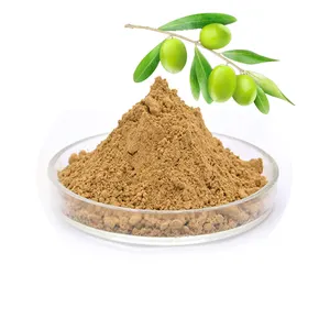 Polvo de extracto de hoja de olivo de grado alimenticio al por mayor 40% hidroxitirosol