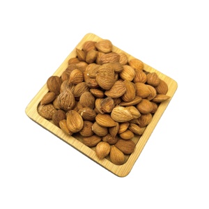 Giá tốt nhất tast Hữu Cơ <span class=keywords><strong>Apricot</strong></span> hạt đắng <span class=keywords><strong>Apricot</strong></span> hạt Nuts để bán - Product Image 1