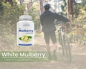 Sıcak satış toptan fiyat beyaz dut yaprağı kapsül doğal beyaz dut özü yaprak kapsül - Product Image 5