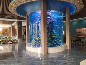 Hoja acrílica de alta calidad para peceras, acuarios rectangulares de gran volumen para peces de gran tamaño, accesorios para acuarios de alto género - Product Image 4