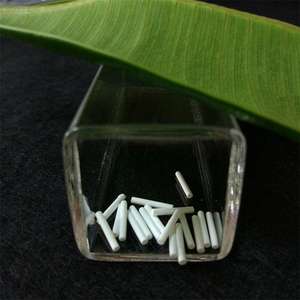 Varilla de electrodo de referencia de cerámica porosa para Analizadores - Product Image 4