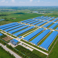 Bâtiment avicole préfabriqué en acier à grande portée, économique et automatique, pour l'élevage de poulets de chair et de poules pondeuses