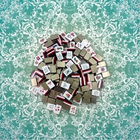 Support de Mahjong Traditionnel 26mm en Gros avec Sac de Rangement Magnétique pour Jeu de Table, Acrylique Teal Poli à la Main, 160 Pièces