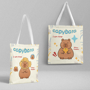 DHF670 Groothandel Verschillende Soorten Kawaii Chiikawa Mofusand Canvas Tassen Schattige Capybara Draagbare Grote Capaciteit Studenten Opbergtas Kinderen - Product Image 6