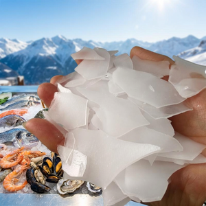 Haiyue 0.3T <b>Ice</b> Flake <b>Machine</b> for Restaurants and Bars New Technology Fishery Commercial Maker L Grade Suitable for Commercial U - Product Image 3