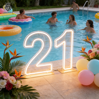 Enseigne lumineuse LED néon en acrylique numéro 21, autoportante, pour anniversaire, fête, bureau, maison, centre commercial, écoles - Haute Qualité
