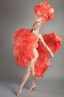 Grand éventail à main en plumes d'autruche saumon pour femmes Costume Show Tea Party Holiday Supply Dance Bridal Wedding Decor Accessory
