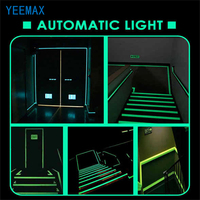 Tira de Vinilo PVC Reflectante Fotoluminiscente de 12H, Panel Autoadhesivo, Juego de 5 Colores, Imprimible, para Salidas de Emergencia, Escaleras, Pasillos, Nocturno