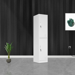 Steel <b>Lockers</b> Double Door <b>Storage</b> <b>Cabinet</b> Key Lock Narrow Floor <b>Locker</b> for Office School Home Use - Product Image 1