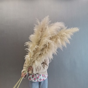 Prezzo di fabbrica grande decorativo soffice alto Pompas erba <span class=keywords><strong>per</strong></span> il vaso da tavolo 2025 la vendita calda erba di pampa <span class=keywords><strong>per</strong></span> la decorazione del partito di famiglia - Product Image 3