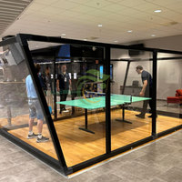 Nouveau populaire facile à installer Padel Ping Pong Court Padel Ping Pong Court