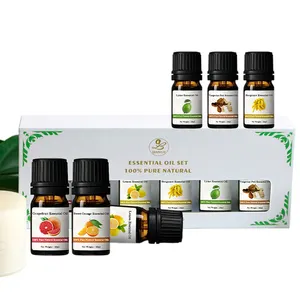 10ML 100% reines natürliches ätherisches Öl Geschenkset Aroma therapie Diffusor ätherisches Öl Set 6er Pack