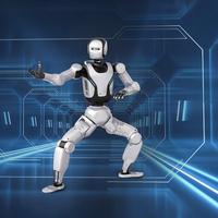 Robot Humanoid |   Robot Bipedal Edukasi & Penelitian ROBAN 2