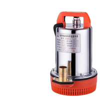 Pompe à eau submersible portable DC pour la maison et les véhicules électriques 12V/24V/48V/60V/72V