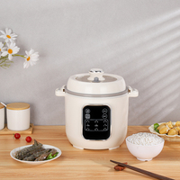 Casserole électrique multifonctionnelle en plastique pour hôtel et maison, cuiseur lent automatique 3L, cuisson à micro-pression écoénergétique