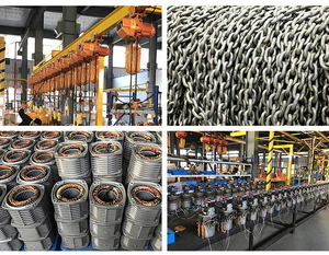 بيع بالجملة والتجزئة 2 طن Tecle مع رافعة ترولي آلية - Product Image 6